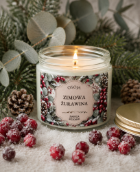 Świeca Sojowa Zimowa Żurawina 250 ml