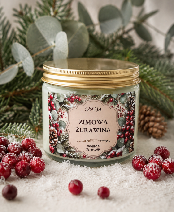 Świeca Sojowa Zimowa Żurawina 250 ml